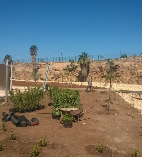 WP_20160618_09_23_18_Pro